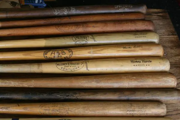 What kind of wood are baseball bats made from?